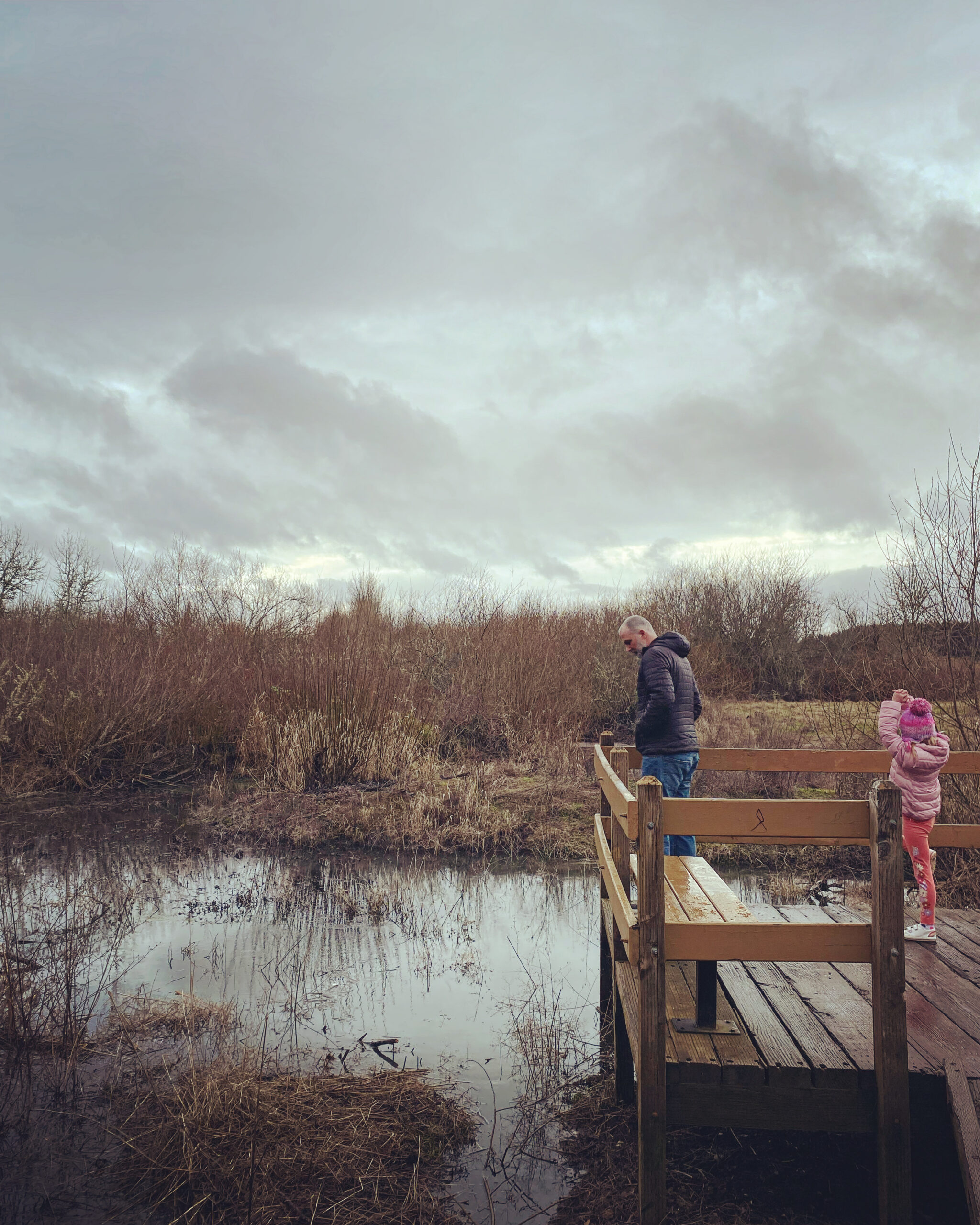 A father and six year old girl stand on a dock looking over a marsh on a stormy day in the wetlands.