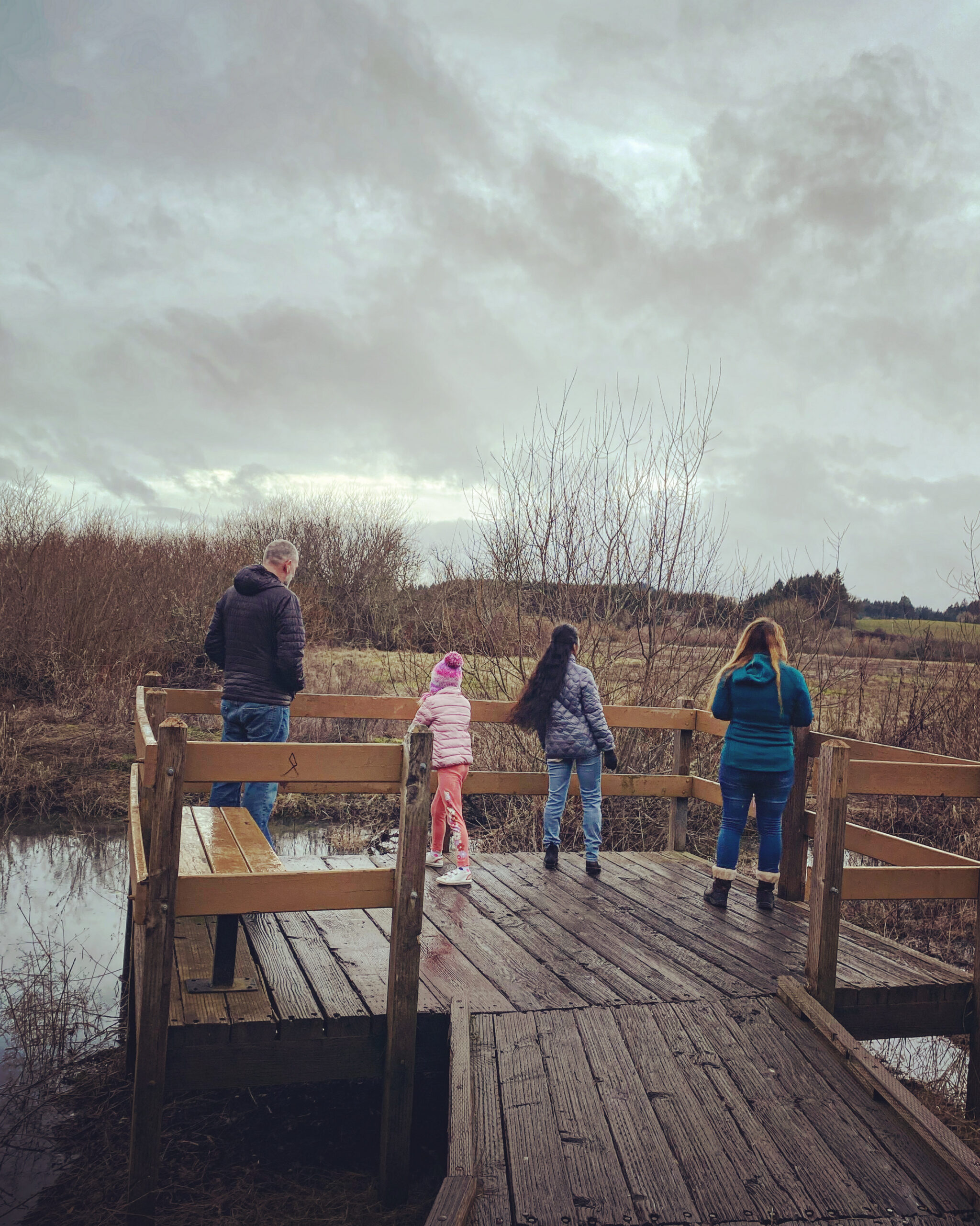 A dad, 6 year old old, and two young adult women stand on a dock overlooking the marsh in the wetlands with their backs to camera.