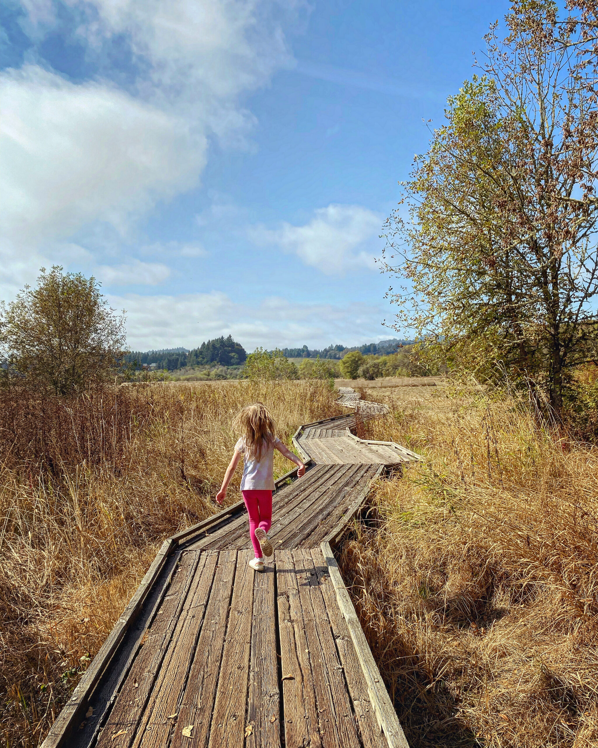blond 6 year old girl running on a wood plank path in the middle of a dry wetland on a sunny day with green hills and blue sky and fluffy white clouds before her.
