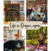 Photo collage labed "Life in Oregon again." First photo: Emilia's First Day of Second Grade chalkboard sign. Second photo: Emilia waving from atop a carousel horse at Oregon Zoo. Third photo: Vanellope, a tuxedo cat, lies on top a multicolored crochet ripple blanket with cheerful, bright school table/craft space in blurry background. Fourth photo: Emilia smiles at camera while sitting and drawing with Crayons, color pencils, and schoolbooks scattered around her on red and white checkered picnic blanket in a forested backyard.