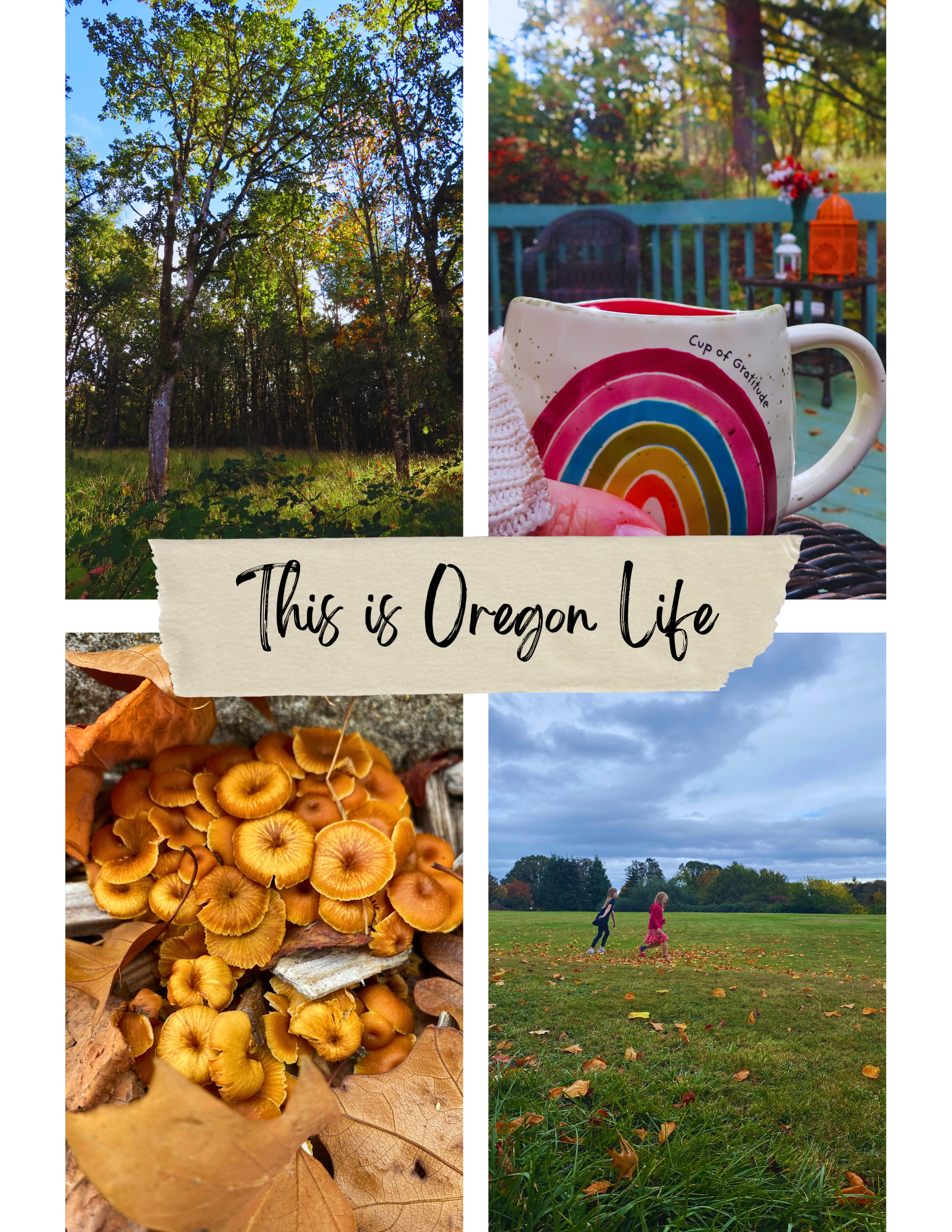 Four photo collage with This is Oregon Life scrawled across it. First photo is view of backyard forest with fall leaves and and glimpses of sunlight and blue sky. Second photo is Jill's hand holding a rainbow coffee mug with words Cup of Gratitude, the backyard deck and forest is in background. Third photo is a close-up and golden fungi. Fourth photo is Emilia and friend running across large grassy field with storm clouds above.