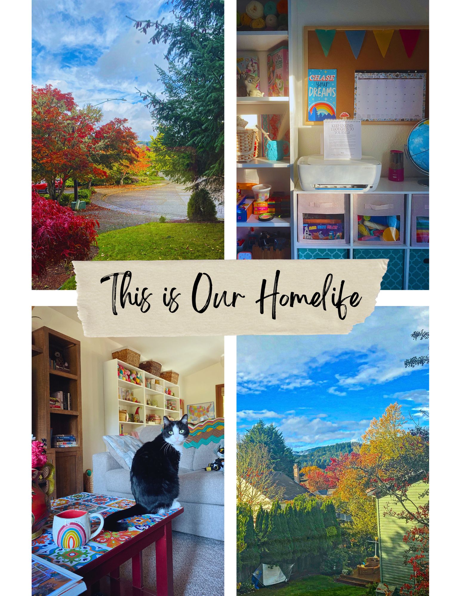 Collage photos with words This Is Our Homelife sprawled across. First pic shows scene out living room window -bright blue sky, fluffy white clouds, vibrant fall trees, damp ground. Second pic shows school bookshelf/bulletin board/globe with lots of aqua tones and calendar showing October. Third pic shows Mexican-tile-like coffee table with tuxedo cat sitting on it next to rainbow coffee mug. School/craft room seen in background. Fourth pic shows vibrant fall colors looking out over the hills.