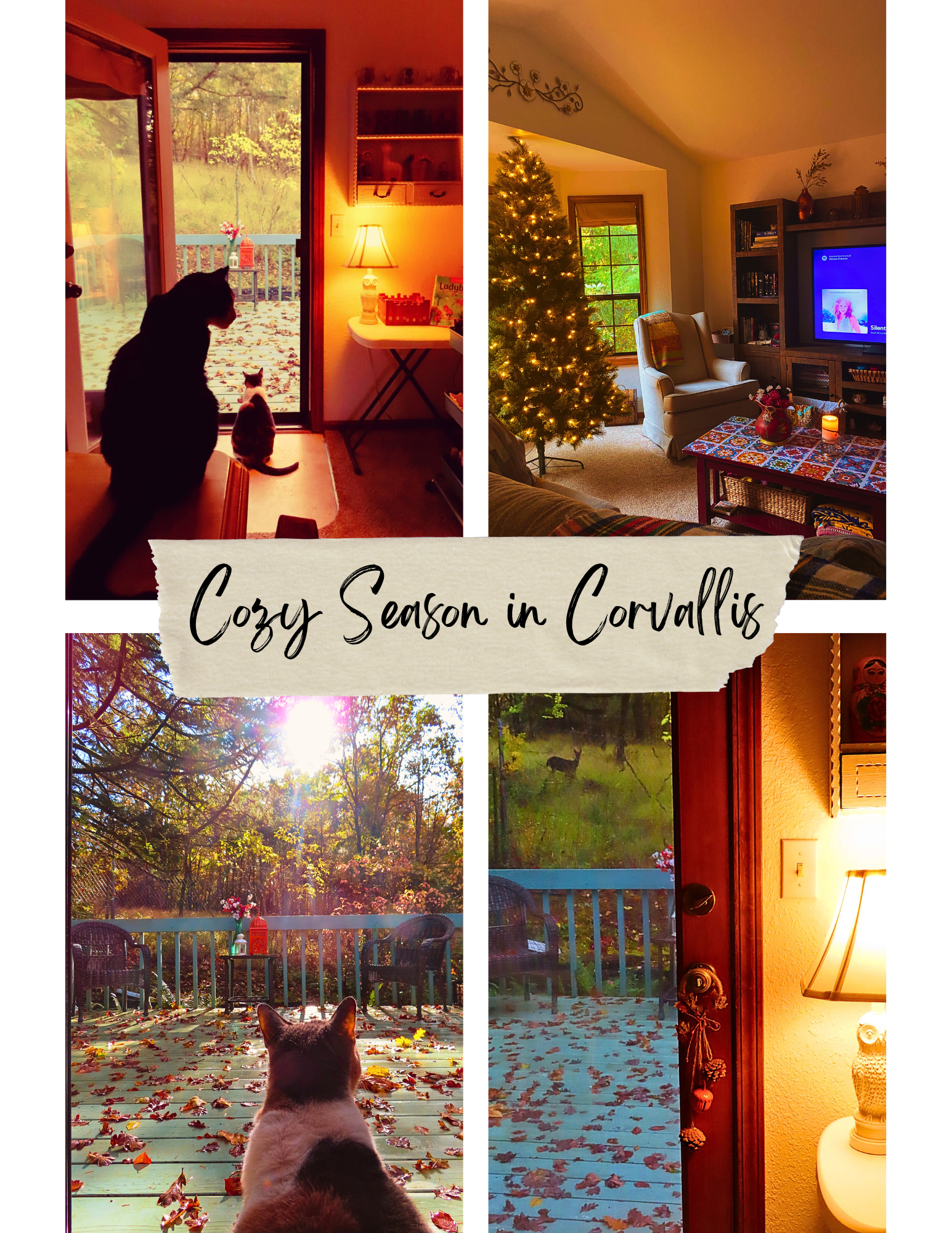Photo collage titled Cozy Season in Corvallis. First photo: owl lamp casting gold light, black cat silhouette sitting on table, cat looking outside at leaf-covered deck, woods in background. Second photo: living room with rich earthy colors and Christmas tree with warm lights. Third photo: cat looking outside at leaf-covered deck, sun shining through forest trees. Fourth photo: a glimpse from a warm-looking room of a deer out in the forest behind the leaf-covered deck.